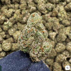 CONCENTRATES