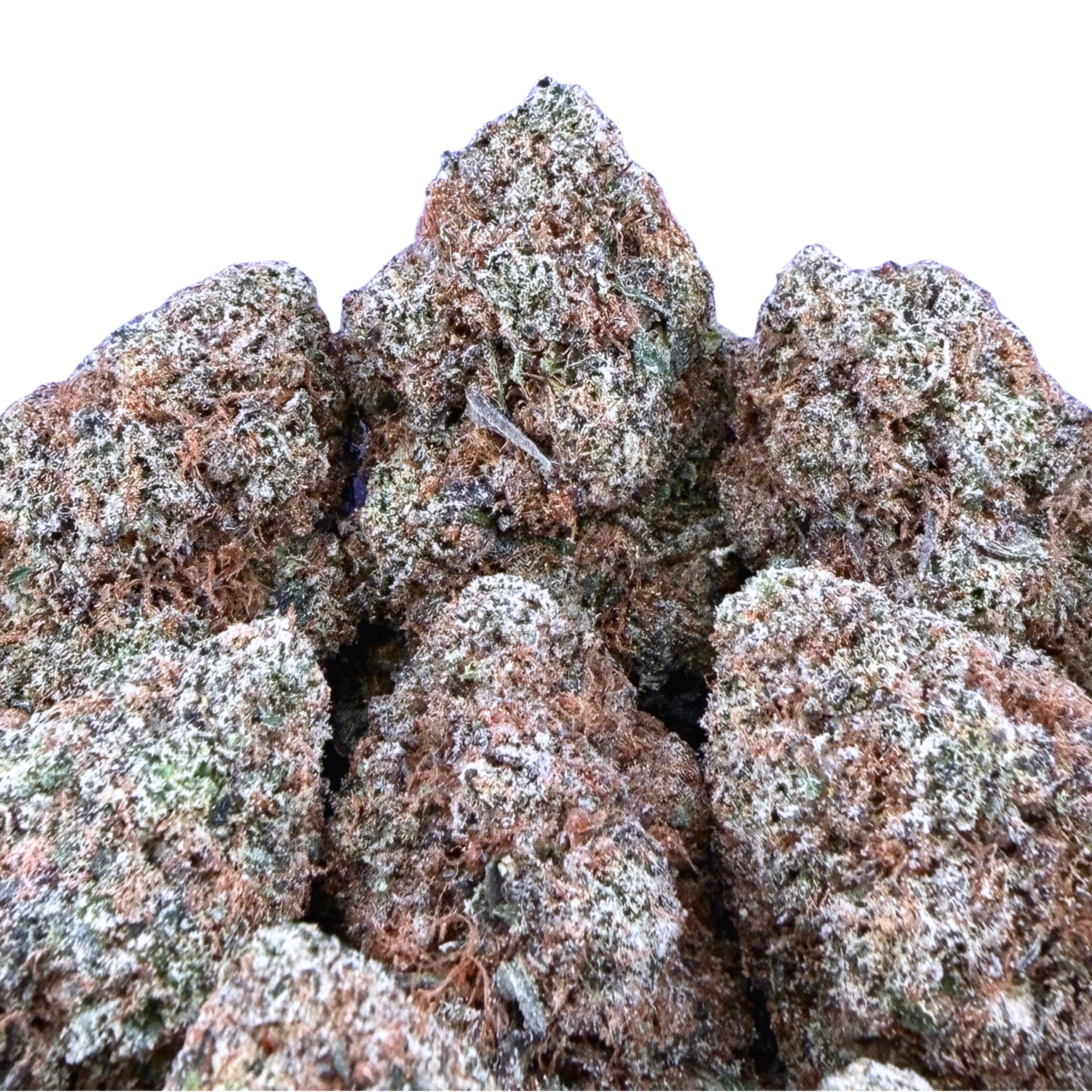 Candy LCG (Wholesale)