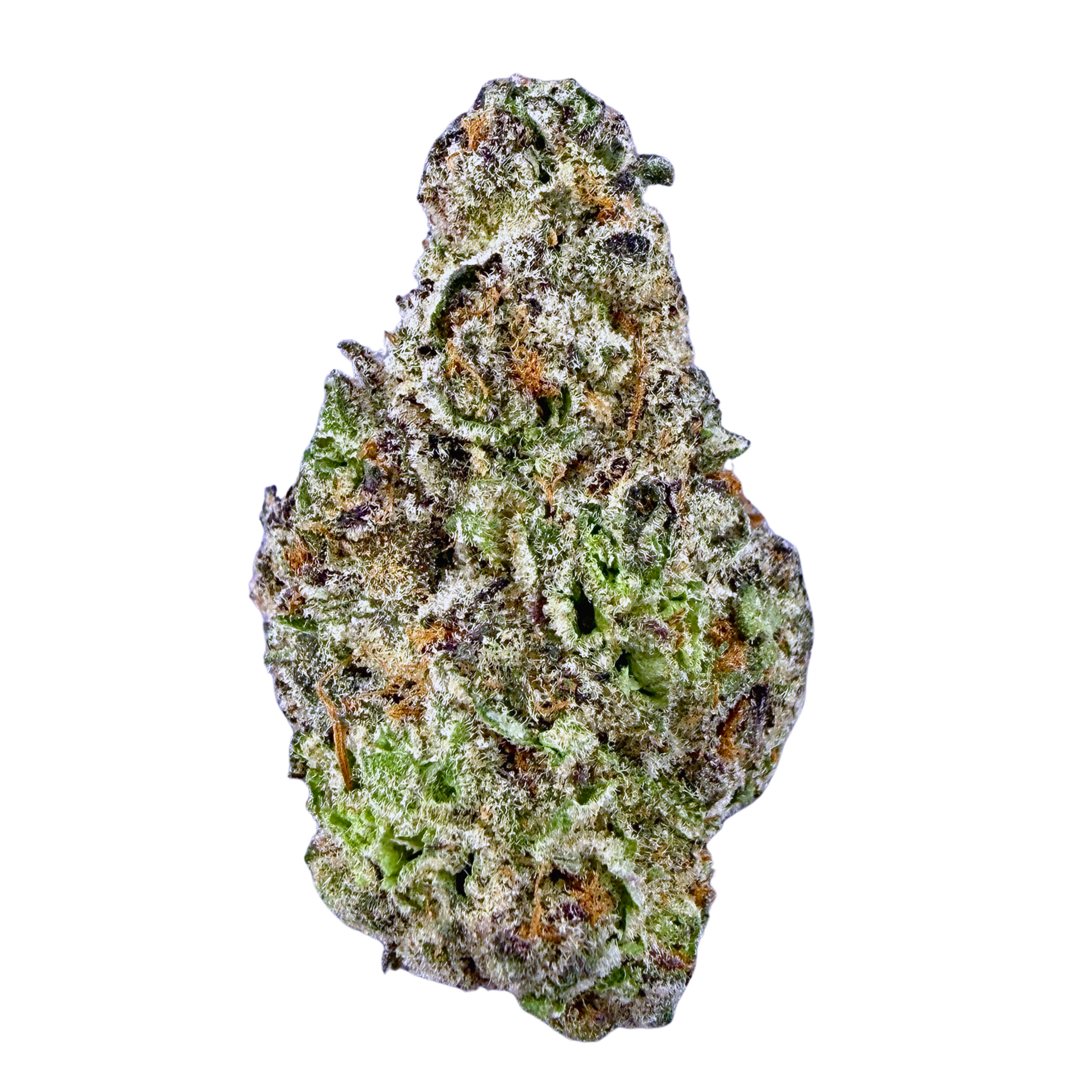Alien OG