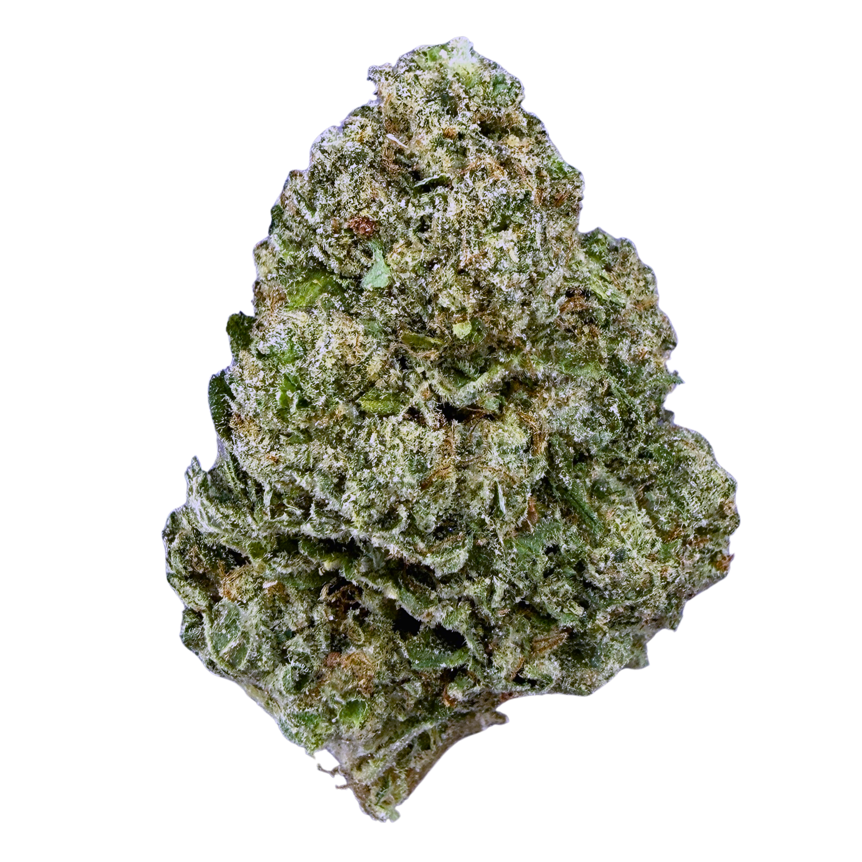 Gelato 33- Indica Hybrid