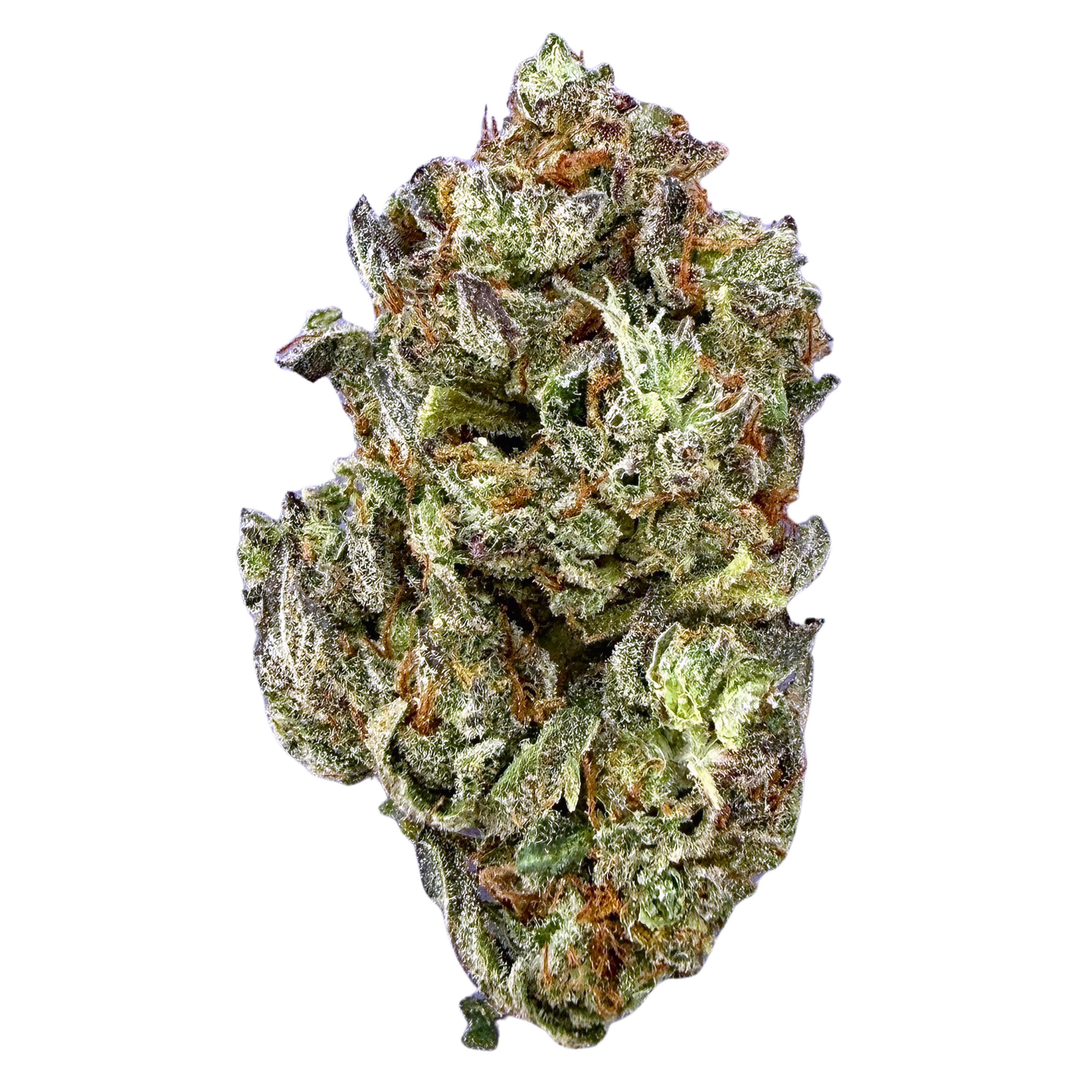 Grape God- Indica Hybrid(Wholesale)