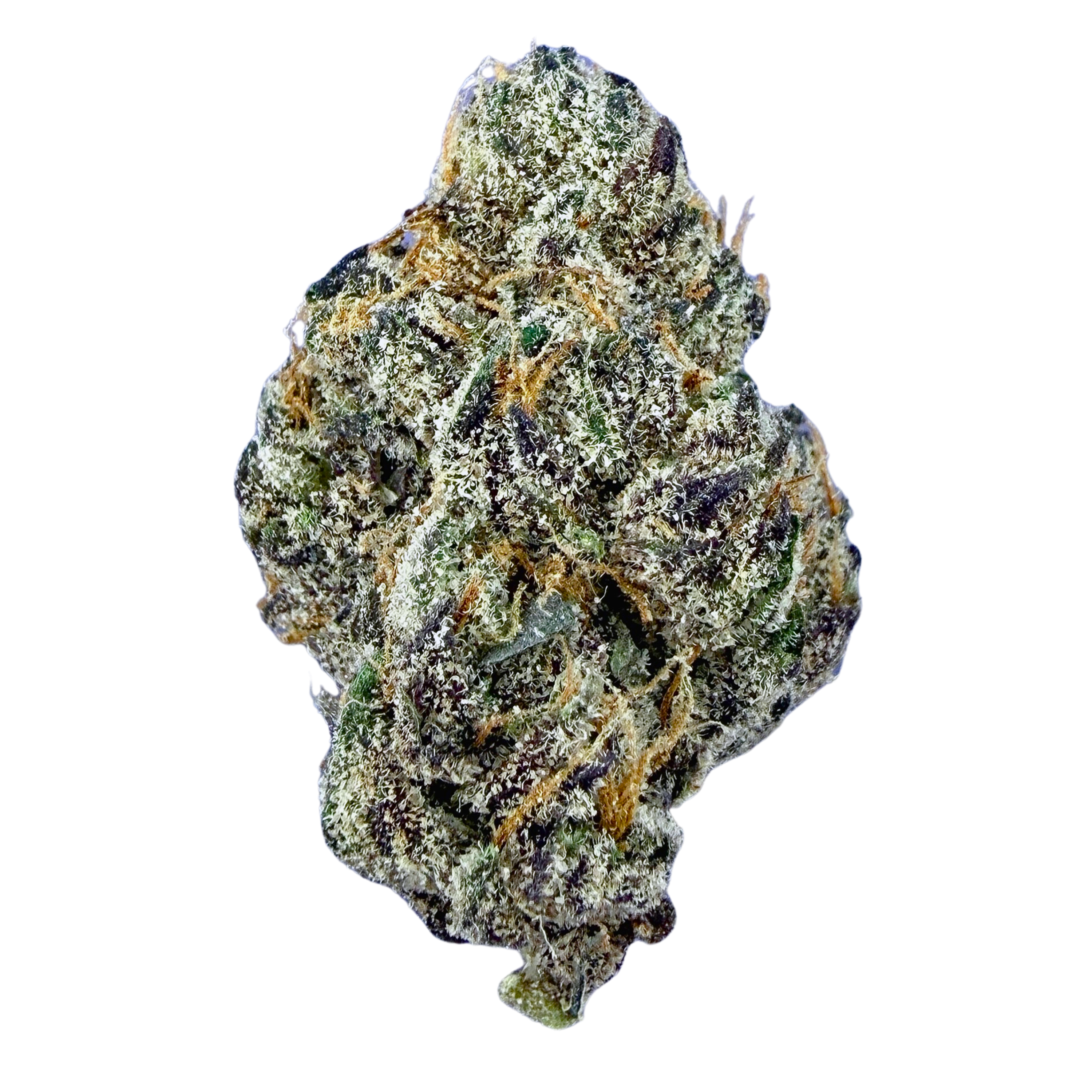 Gumbo- Indica Hybrid(Wholesale)