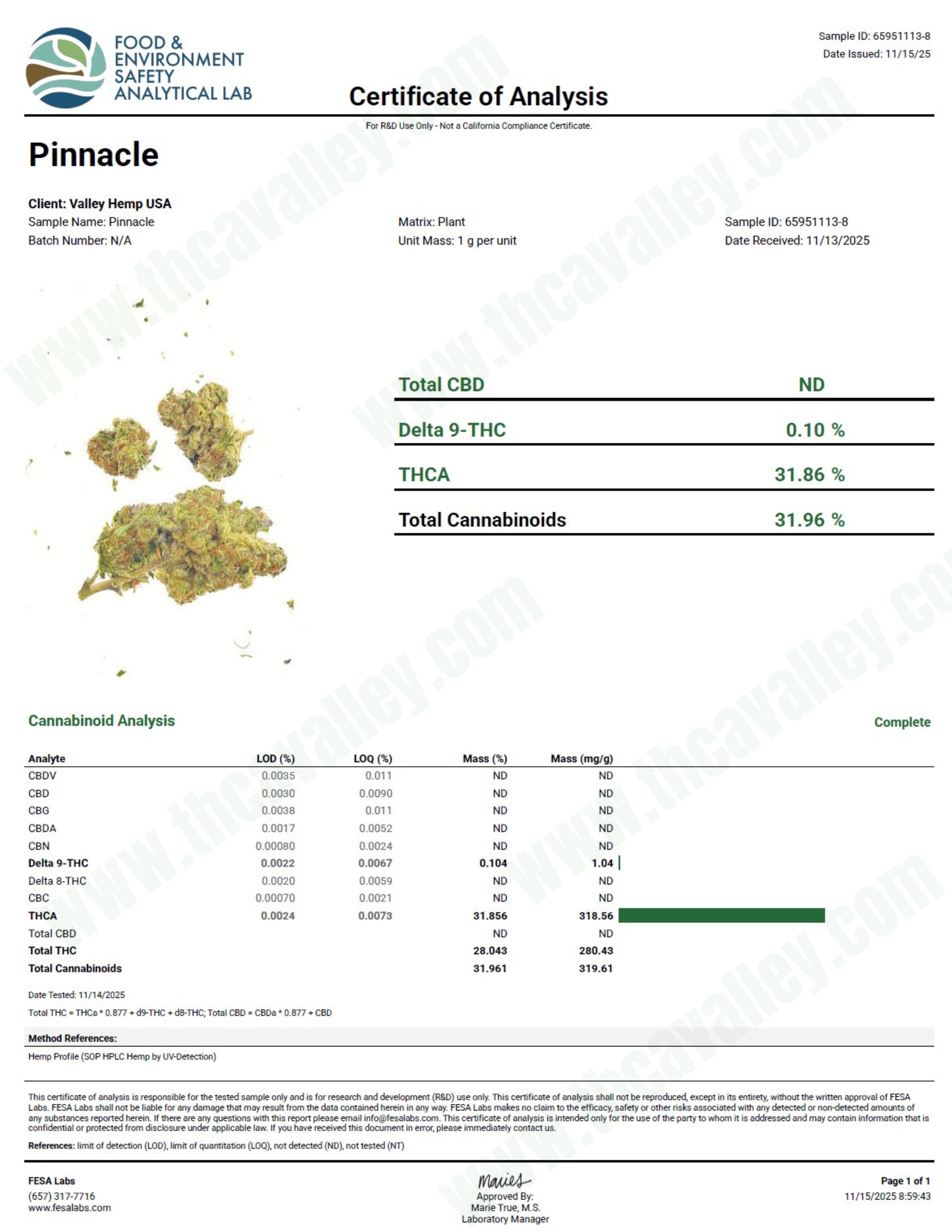 Pinnacle (Wholesale)