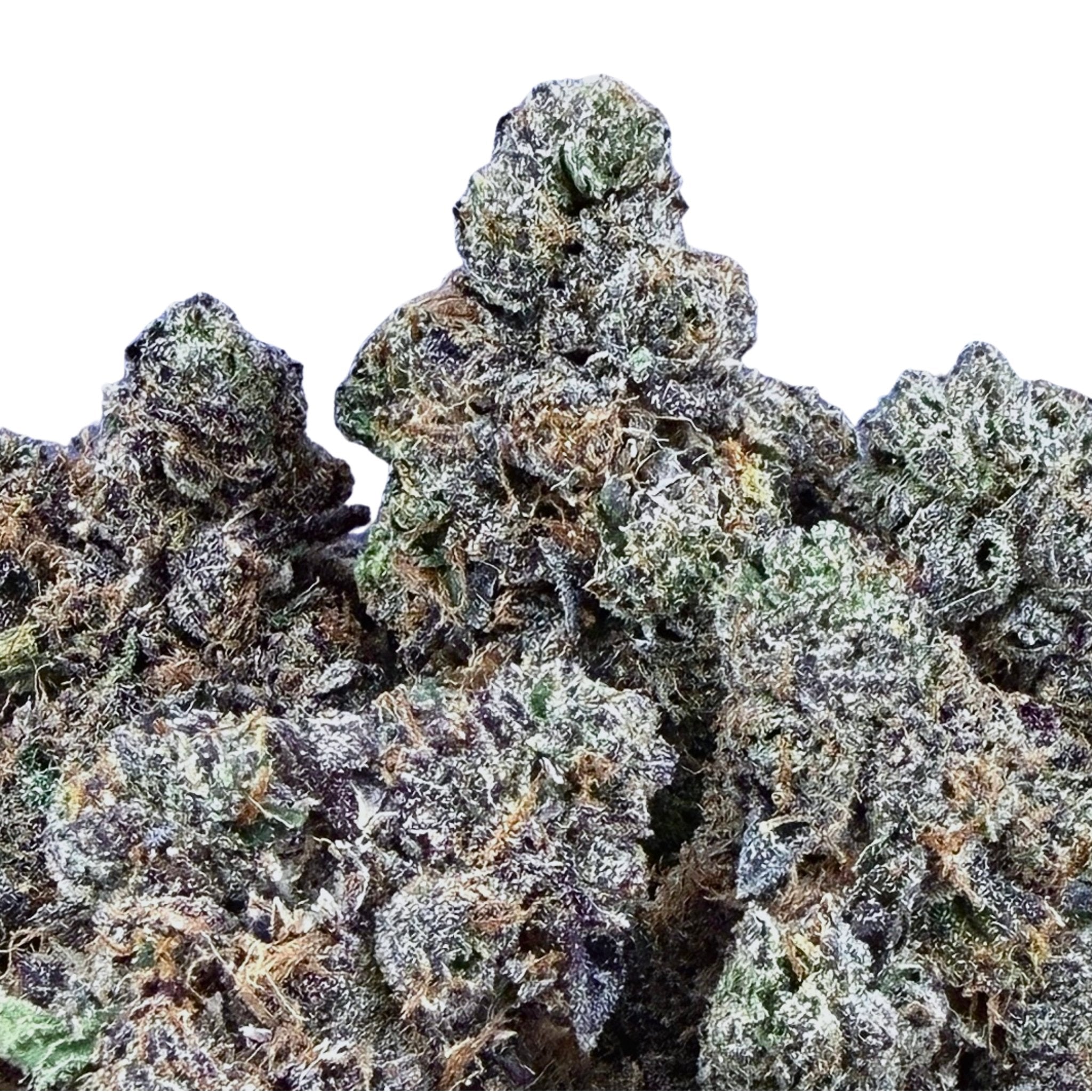 Bolo Runtz - Valley Hemp