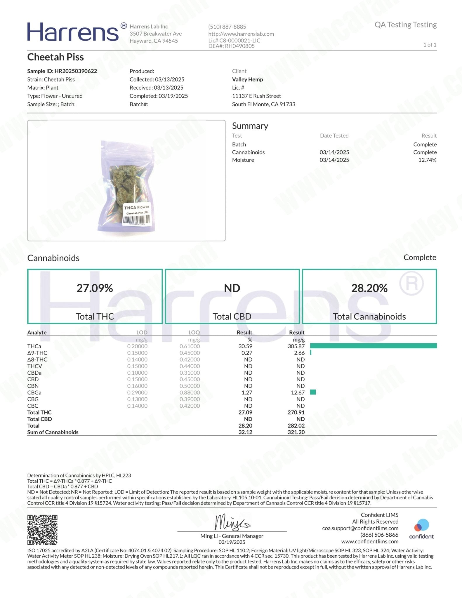 Cheetah Piss (Wholesale) - Valley Hemp