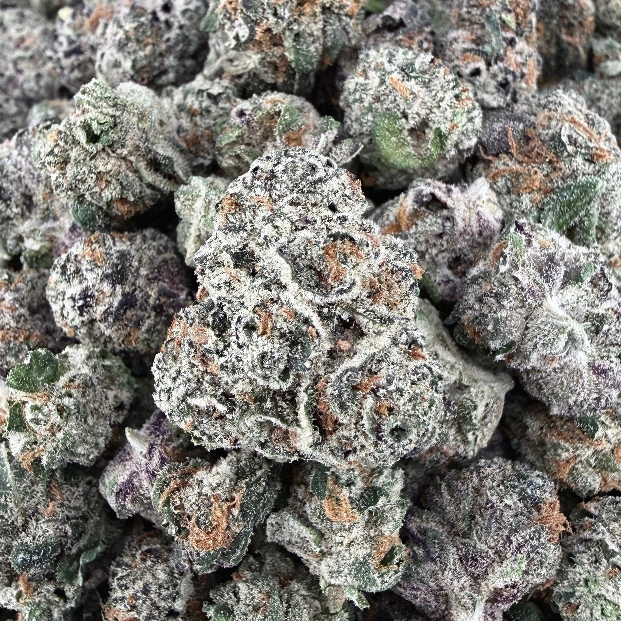 Exotic Gelatti THCa Smalls (Wholesale) - Valley Hemp
