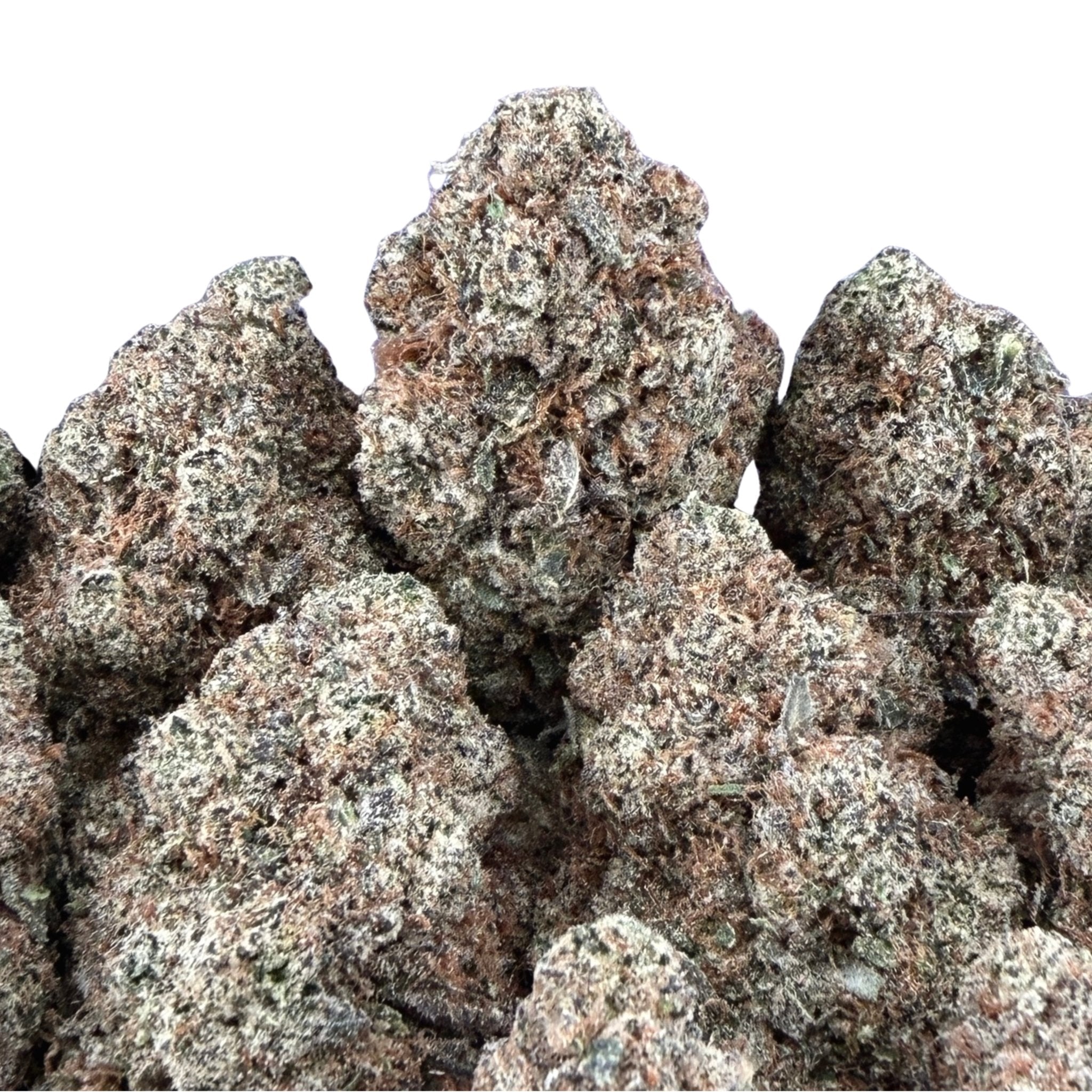 Sherbet (Wholesale) - Valley Hemp